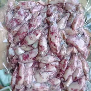 ASIN 100gr CUMI PREMIUM VIRALLL FROZENNNNNNNNM