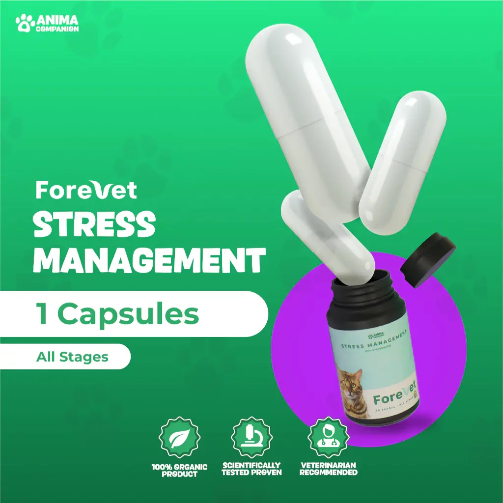 Forevet, Antistress Kucing Anjing - Harga/Kapsul - Stress Management Suplemen Kucing Anjing