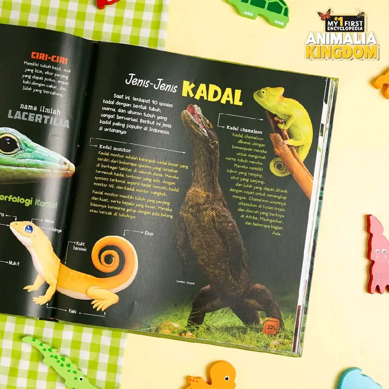 Buku Ensiklopedia Hewan My First Encyclopedia: Animalia Kingdom Ziyad Books - Full Color Gambar untuk Anak-anak 6
