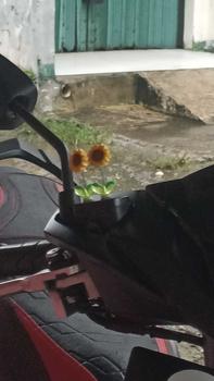 Product Review of Lucu bobblehead bunga matahari ornamen mobil bunga segar konsol tengah mobil ornamen kaca spion from N**a 0