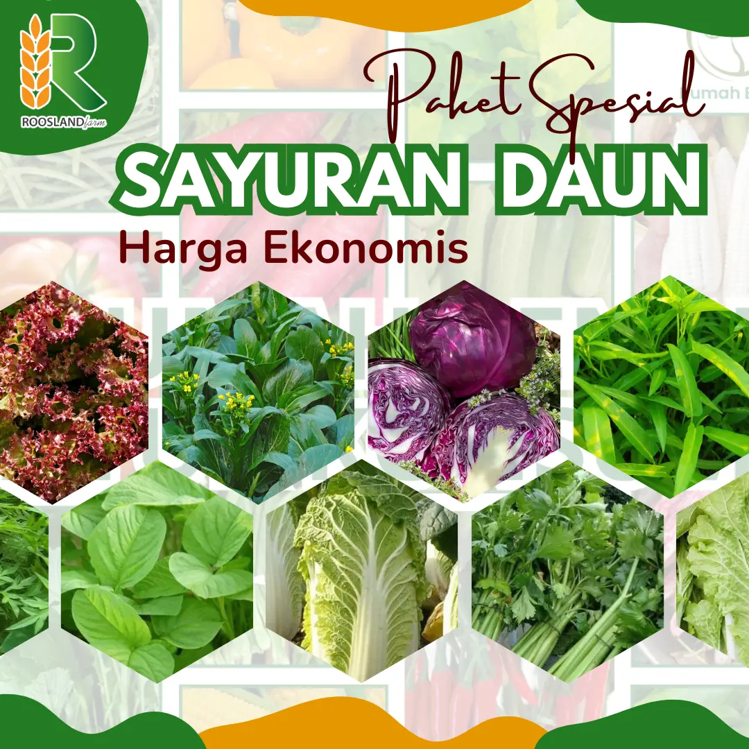 Paket Spesial Benih Sayuran Daun Kualitas Unggul Harga Termurah