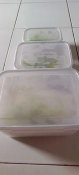 Product Review of 2 Set 6pcs Kotak Penyimpanan Multifungsi Wadah Toples Keranjang Saringan Pengering Sayur Buah Serbaguna from K**e 1
