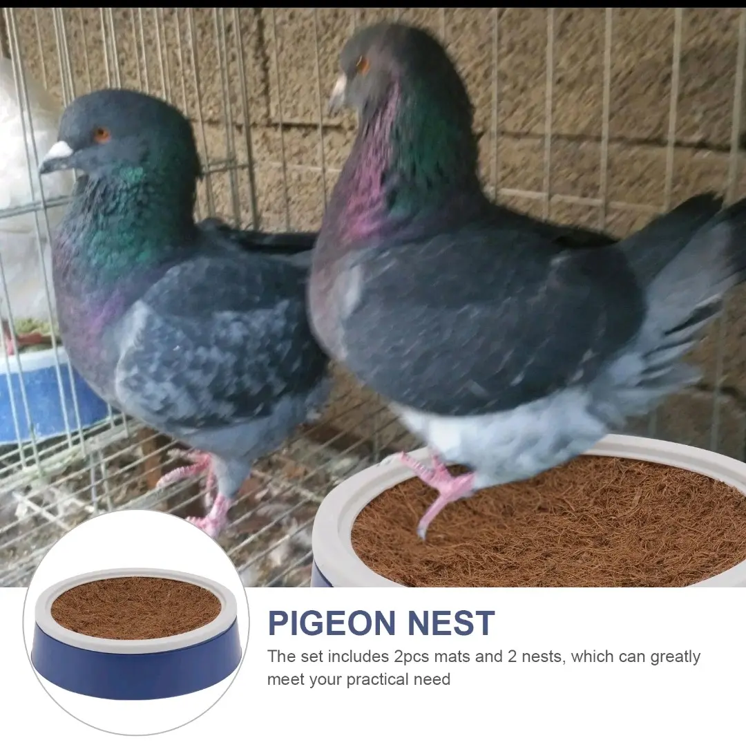 Angkreman Susuhan BIRU Tarangan Burung Merpati Ayam Kate Ayam Serama Dll