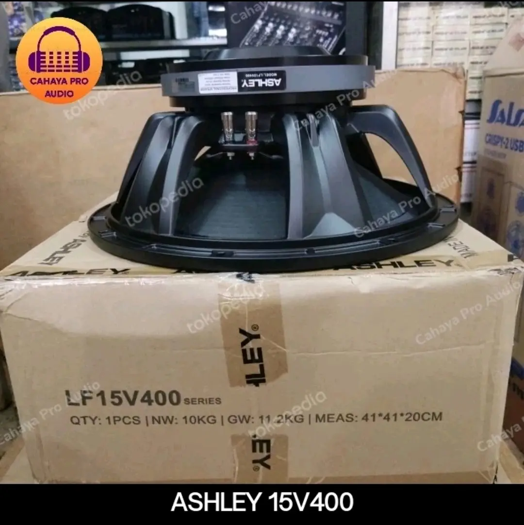 Speaker Ashley LF15V400 (15 Inch)