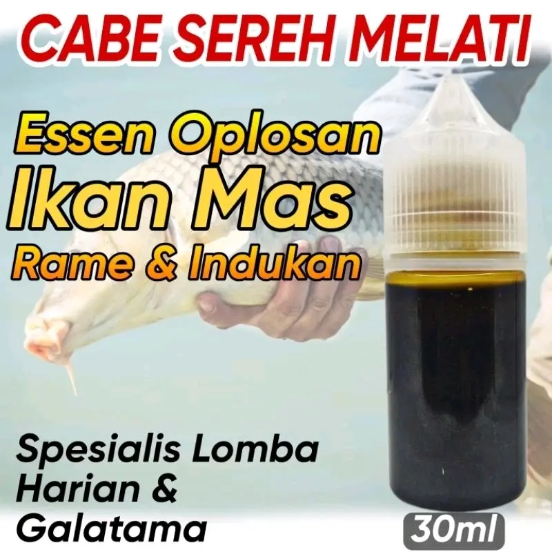 Essen Oplosan Cabe Sereh Melati Paling Gacor Khusus Ikan Mas Babon & Rame, Essen Ikan Mas Paling Bagus Segala Umpan bisa digunakan Siang atau Malam Essen Mancing 1