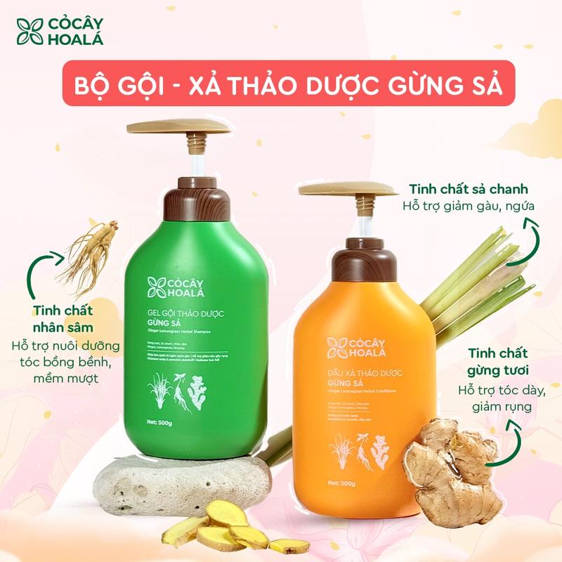  Combo Cặp Dầu Gội Xả Gừng Sả Thảo Dược Thiên Nhiên Cao Cấp Cỏ Cây Hoa Lá  Ngăn Bết Tóc Dầu 