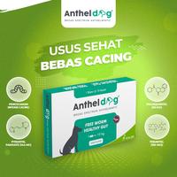 Gambar KALBE Anthel Dog Obat Cacing Anjing - 1 Box @30 Tablet dari Kalbe Animal Health Kota Administrasi Jakarta Timur 2 Tokopedia