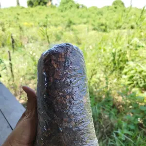 Dupa Serbuk Gaharu Asli Kalimantan Original Kiloan