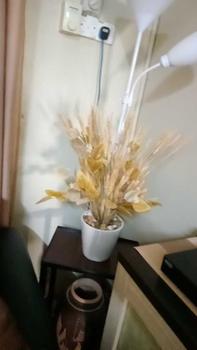 Product Review of Cawangan Daun Kayu Putih, Tumbuhan Palsu Tiruan, Dengan Buah, Sesuai untuk Gubahan Bunga Perkahwinan dan Rumah, Warna Biru dan Merah Jambu, Hiasan Moden, Eucalyptus from J**a 0