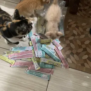 Pawsitive Vibes Snack Kucing Makanan Kucing Basah Bergizi Paket Cemilan Daging Kaya Nutrisi untuk Nafsu Makan Lebih Baik