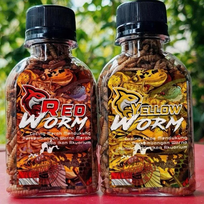 Yellow Worm + red worm - Sâu Sấy Cho Cá Lóc Vẩy Rồng & Các Loại Cá Có Sắc Tố - Hỗ Trợ Lên Màu - Made in Indonesia - Thức Ăn Tự Nhiên Giàu Dinh Dưỡng