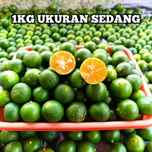 1 KG Jeruk Sonkit Ukuran Sedang Jeruk Lemoncui Kasturi Peras Segar untuk Minuman Segar