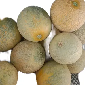 melon segar .. ukuran satu kg