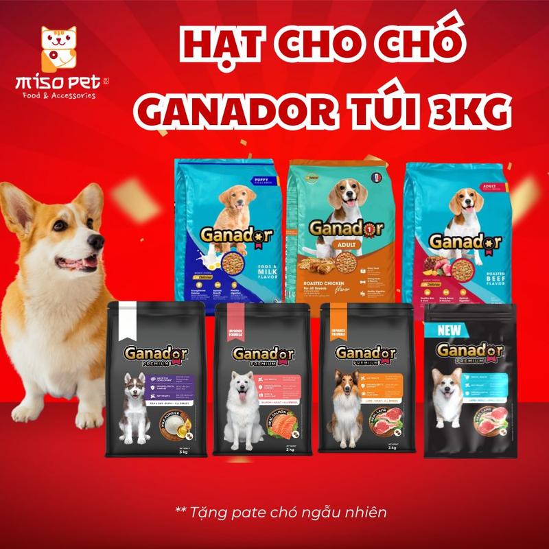   SALE CUỐI NĂM  Ganador Thức Ăn Hạt Cho Chó 3KG - Nhiều Vị Cừu Bò Gà - Omegas 3-6 Hỗ Trợ Lông & Tiêu Hóa - Cho Chó Mọi Lứa Tuổi 
