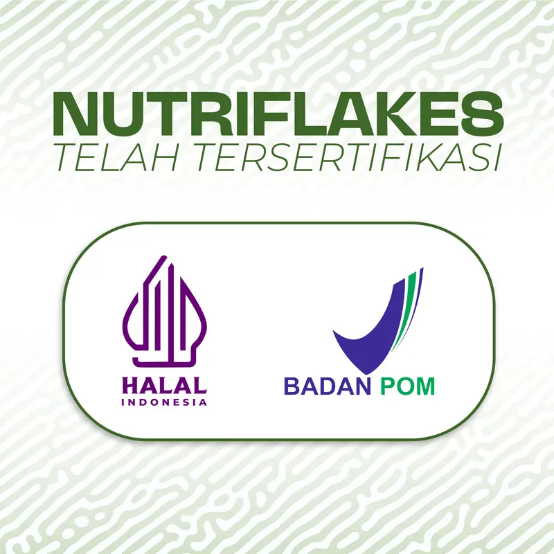 Nutriflakes Sereal Original dari Umbi Garut 5 Box (Isi 280/Box) - Tinggi Serat & Kandungan Gizi untuk Kesehatan Lambung - Bubuk, Drink 4