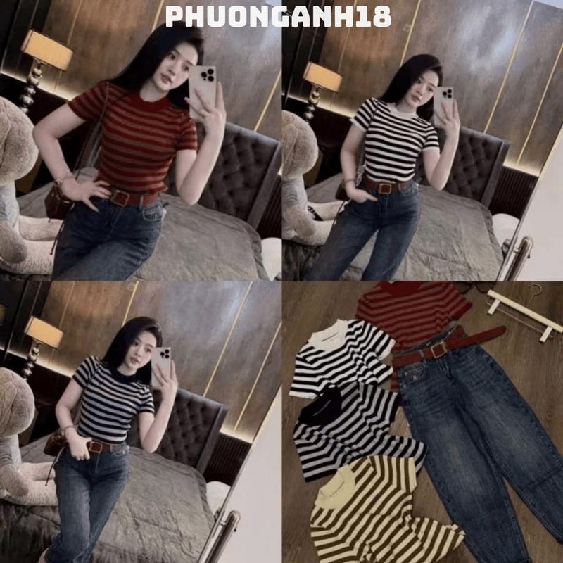 [XẢ KHO ] Áo len cộc tay thêu hình NGỰA cổ bo viền A072