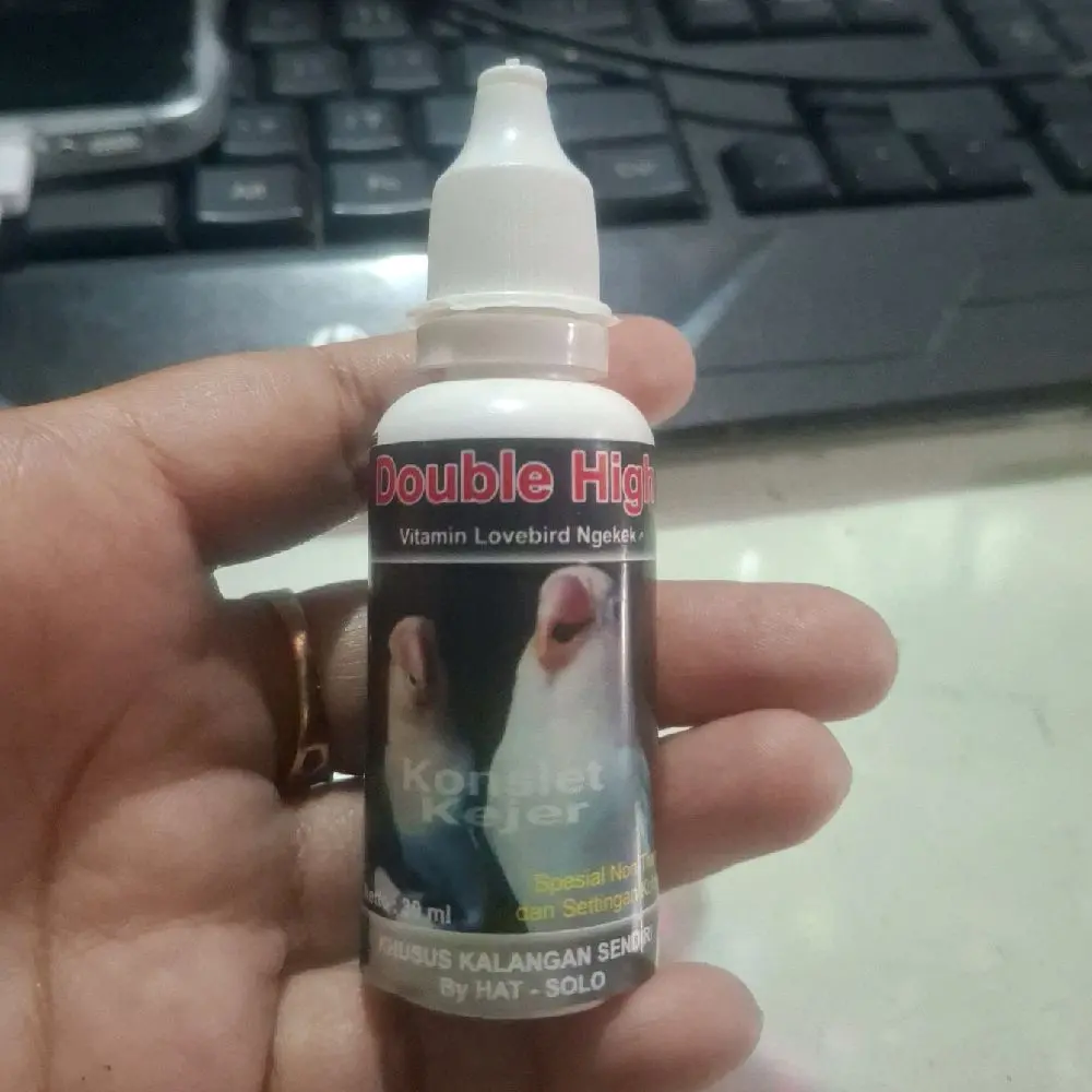 KONSLET KEJER DOUBLE HIGH  VITAMIN LOVE BIRD NGEKEK