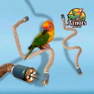TANGKRINGN TALI ELASTIS UNTUK PARROT FALK SUN CONURE NURI MONK