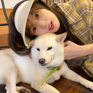 Little Orange Pet Selection Store