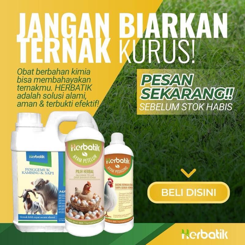 Product Introduction of Herbatik Pengemuk Sapi & Kambing - Bobot Naik Cepat, 100% Herbal Alami, Tanpa Efek Samping! 27