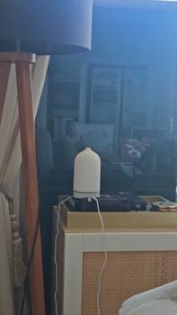 Product Review of Pristine Coral Diffuser | Ultrasonic Mist Diffuser For Larger Areas At Home, Office, Bedroom, Toilet from B**E 0