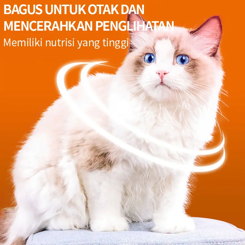 PUAINTA Probiotik Anjing Dan Kucing Atasi Diare Muntah Dan Gangguan Pencernaan Menjaga Kesehatan Usus Anabul suplemen pencernaan hewan 1 Box/10 Strip 6