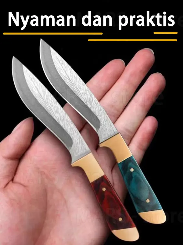 Pisau buah Pisau dapur dengan  sarungnya 1