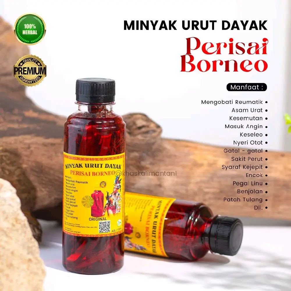 Minyak urut dayak Kalimantan asli Menyembuhkan ciara oil