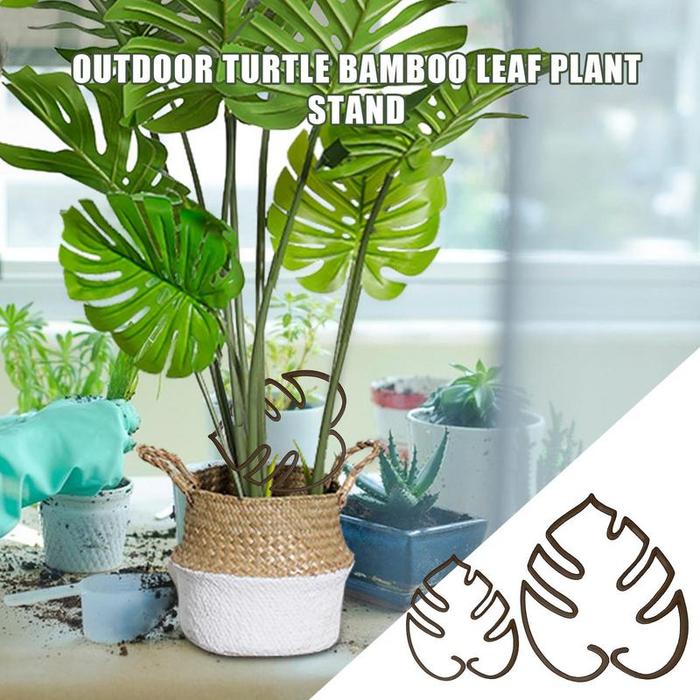 palm leaves plant Coontie Palm Fronds – Tropical Greenery Bunch (10 Stems) Zamia Palm | Palm  Sunday & Easter Greenery