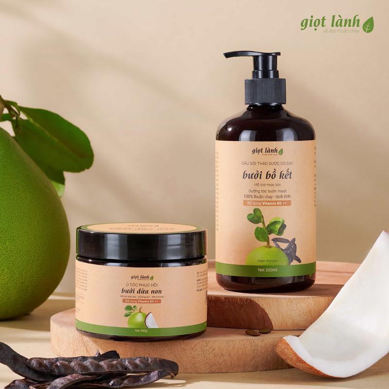 Combo Dầu gội - Ủ tóc phục hồi hư tổn hỗ trợ mềm mượt tóc thuần chay Giọt Lành 