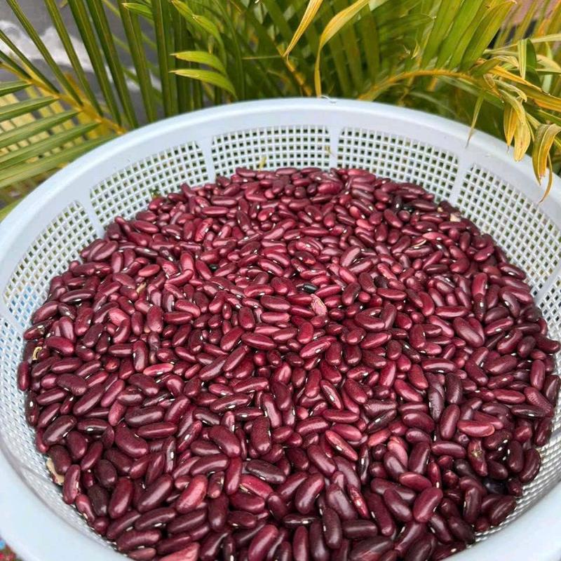 1 kg đậu đỏ  hạt To, đậu tây , đậu cove  tơi bở dùng nấu chè ,hầm gà , bột ngũ cốc , nhân bánh ... 1kg khô loại 1 thơm ngon