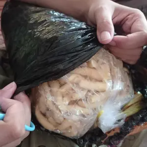 1ball telor gabus keju seguling makanan ringan food snack