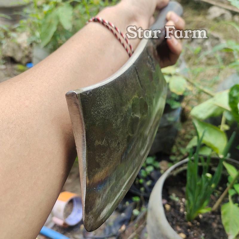 Pisau Cacah Daging Tulang Ayam dan Potong Kelapa Muda 3