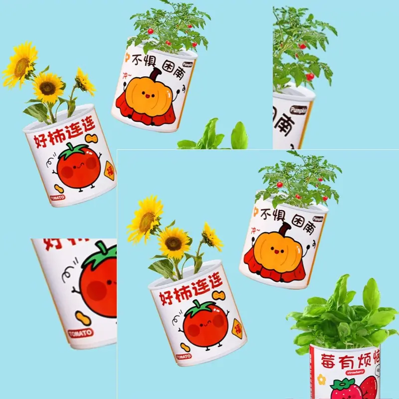 Tanaman Pot Mini Asli / Mini Potted Plant 2