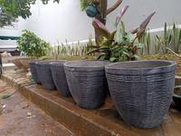 Gambar Pot Gentong besar motif minimalis / pot semen / pot gentong batu dari Abi Flora Kota Tangerang 3 Tokopedia