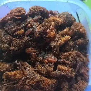 Gepuk Ayam Karwati Asli Cianjur