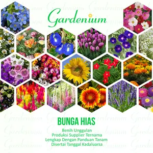 Macam Macam Benih Bunga Hias Unggul Paktani