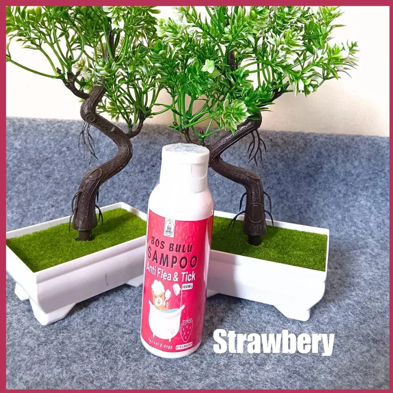paket bundling 5botol sampo 100ml anti kutu jamur bulu rontok kucing 2