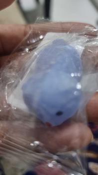 Product Review of New Creative Toy Animal Pet Seal Jun Small Tuanzi Blow Off Steam and Relieve Pressure Pinch Music from c**z 0