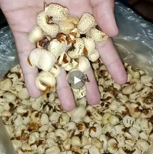 Popcorn/Brondong Jagung Cemilan Jadul Murah 1kg(udah sebesar bantal)