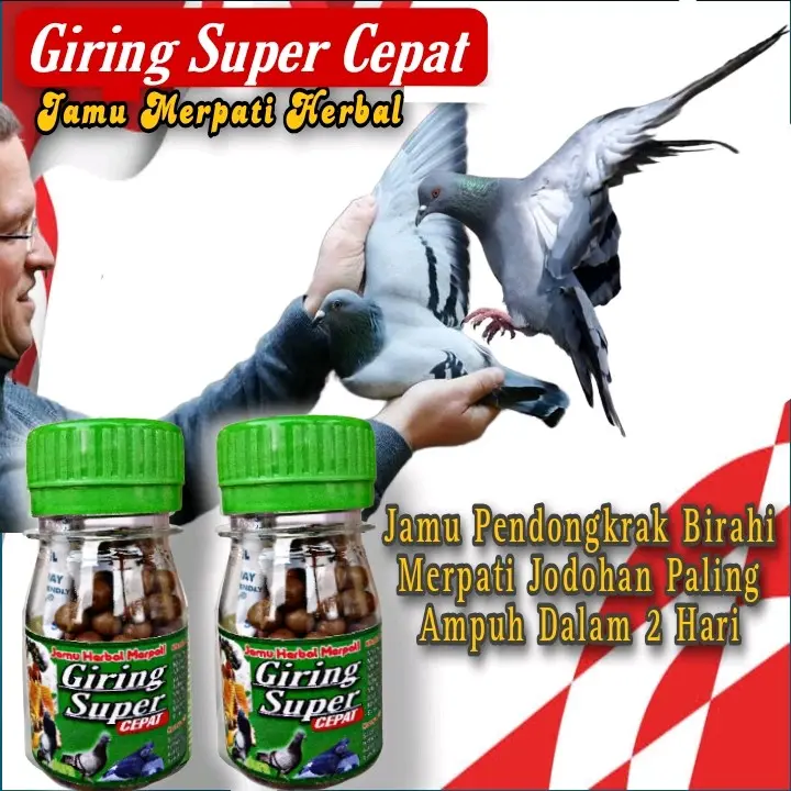 PROMO !!! 120 BUTIR PIL HITAM JAMU MERPATI SUPER GIRING KERAS paling ampuh, jamu ginseng teki liur walet 0