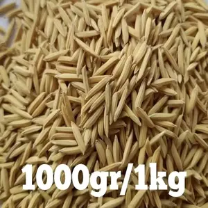 BIBIT PADI BASMATI KEMASAN 2 Kg