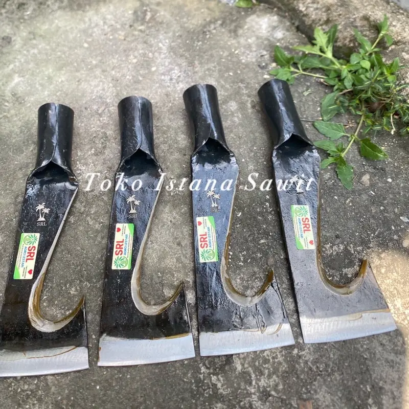 DODOS KASTRASI SRL UKURAN 3inc ORIGINAL 3