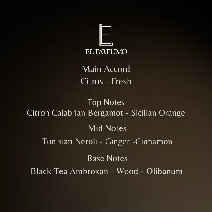 IMAGINATION -Parfum Pria Aroma Fresh Woody Manis Tahan Lama By ELPARFUMO 1