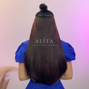 ALITA HAIRCLIP KOREA BIGLAYER LURUS NATURAL 60CM Extension