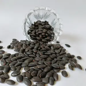 BIJI KEDAWUNG - KEDAUNG KEMASAN EKONOMIS