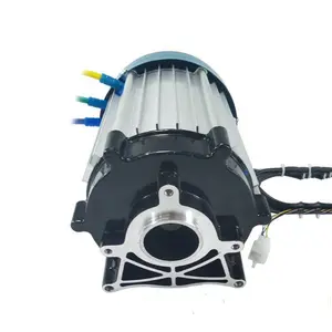 5 holes 18 Teeth 60V 1500W 3200RPM Powerful Electric Trailer Motor Rickshaw DC Motor E Tricycle BLDC Motor