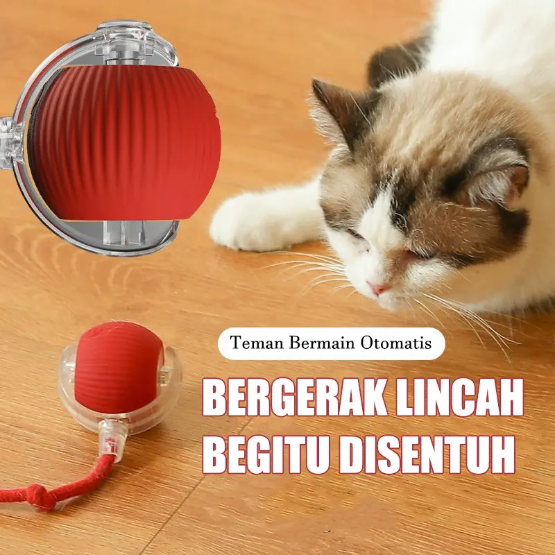 Bola Mainan Kucing Pintar Pet Mainan interaktif Mainan Anjing Kucing Bola Listrik Bergulir Dengan Tali 1