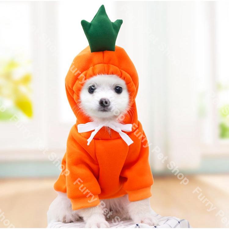 Cat Clothes Dog Pet Shirt Hoodie Pouch Kitten Baju Kucing Topi Comel 7