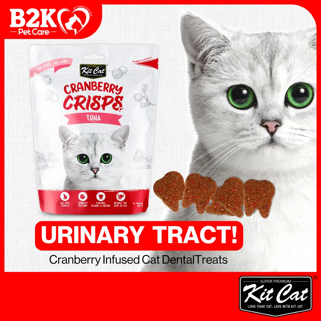 Kit Cat Cranberry Crisps / Breath Bites / Kitty Crunch Cat Treats For Cats (60g) treats  for